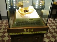 -陈李济中药博物馆