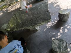 -白塘生态植物园