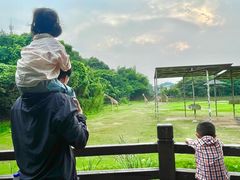 -宁波野生动物园