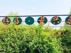 -前小桔亲子创意农场·草莓采摘·露营烧烤