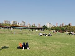 -白塘生态植物园