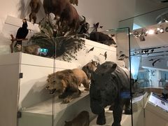 -墨尔本博物馆(Melbourne Museum)