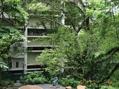 -香港大学