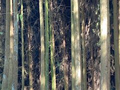 -九峰山