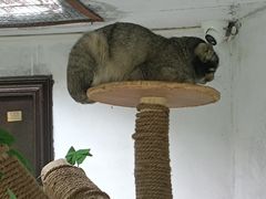 -青藏高原野生动物园