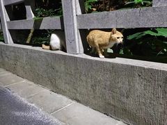 -广州市白云山风景名胜区