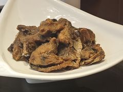 -喜乐餐厅•灯笼虾球首创者•本地小海鲜(二马路店)