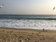 -海云台海滩