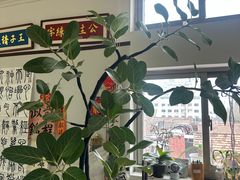 -曦辰书院·书法篆刻