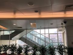 -北京大学口腔医院(魏公村总院)