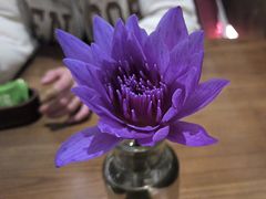 -金牌泰香米(重庆万象城店)