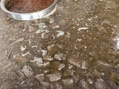 -大邑李记肥肠血旺