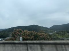 -太湖龙之梦