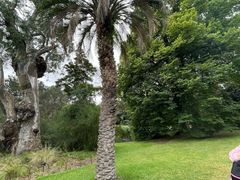 -墨尔本皇家植物园