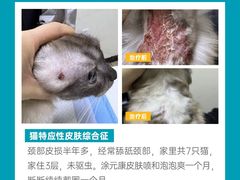 -美联众合动物医院·24h转诊中心