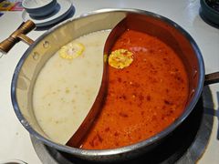 -濠七糟粕醋•海南酸汤火锅(中关村店)
