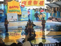 -海合安成都极地海洋公园