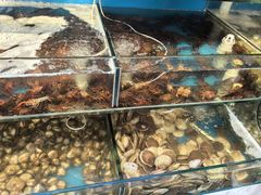 -仙螺岛海鲜自助餐厅(总店)