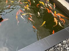-太子园林酒家