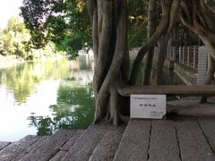 -小洲村