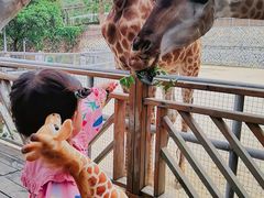 -泉州海丝野生动物世界