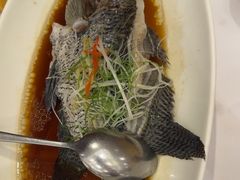 -骏莱海鲜鱼港(五角场店)