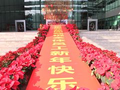 -深圳特区报业大厦