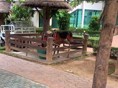 -清迈夜间动物园