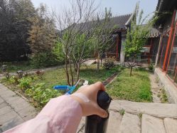 -北京市东城区妇幼保健院(北院区)