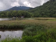 -大九湖