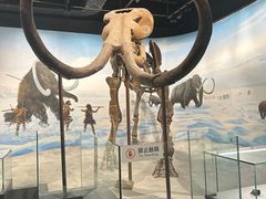 -辽宁古生物博物馆