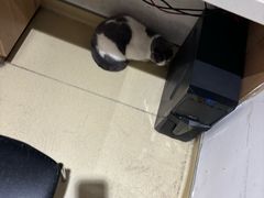 -艾贝尔宠物医院·24H转诊中心·肿瘤猫专科(江宁双龙店)