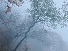 -阳台山自然风景区