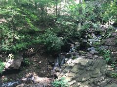 -天女山森林公园