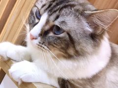 -白兔子密室(长寿路店)