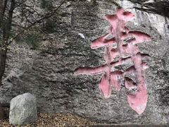 -陕西省红河谷森林公园