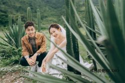 羊群牧场客片-巴黎婚纱摄影工作室