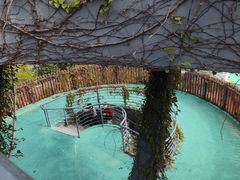 -芒洲湿地公园