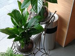 -李先生牛肉面大王(莱芜信誉楼店)