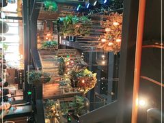 -同仁四季椰子鸡(海岸城天利店)