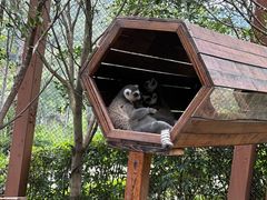 -乐和乐都主题乐园
