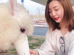 -Blue Concept Cafe&Farm·關於藍