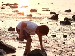 -宝安西湾红树林湿地公园