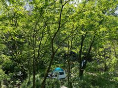 -青龙山国家森林公园