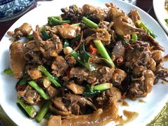 黄焖土鸡-生态苑农庄(十里画廊遇龙河店)