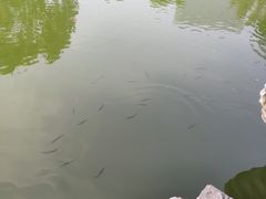 -大兴滨河森林公园