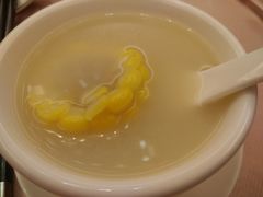 -东方御宴海鲜酒楼(棕泉酒店)