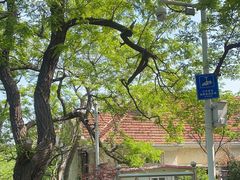 -青岛市江苏路基督教堂