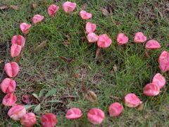 -白塘生态植物园