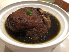 东坡肘子-大鸭梨烤鸭(甘家口店)